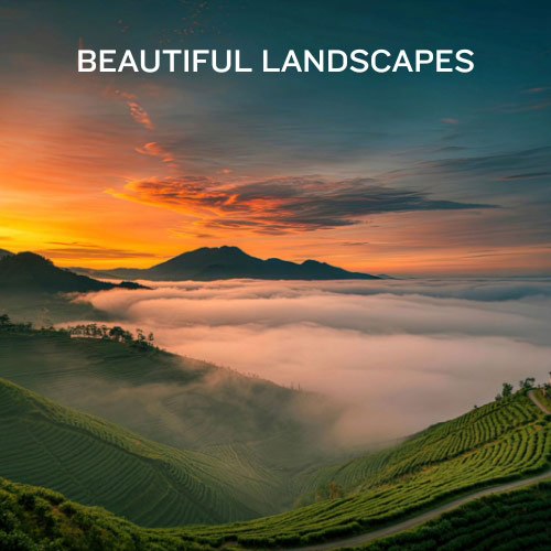 Beautiful Landscapes